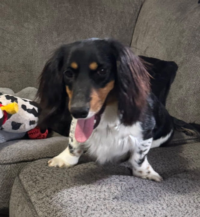 Remi